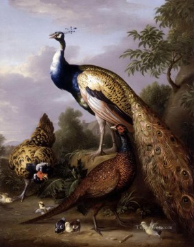  aves Arte - Tobias Stranover gallina pavo real y faisán gallo en un paisaje de aves